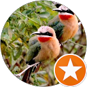 Douw Jooste profile picture
